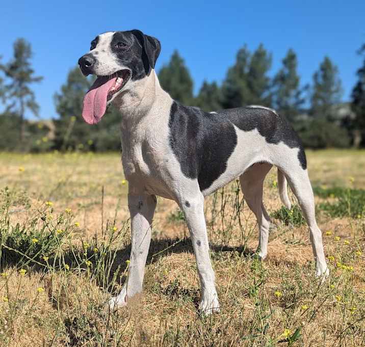 Photo of Maggie