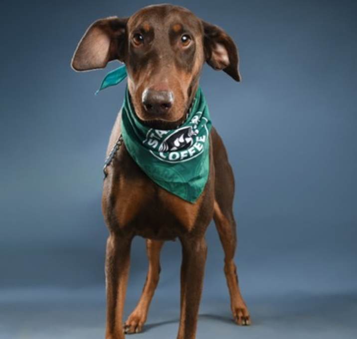 Photo of Micki