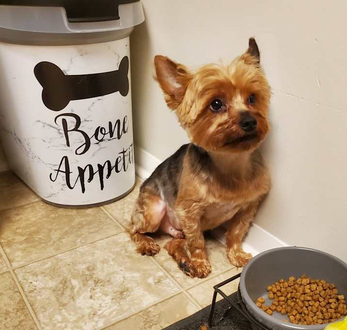 Photo of Bentley