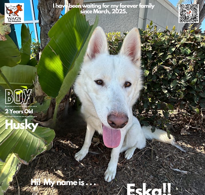 Photo of Eska