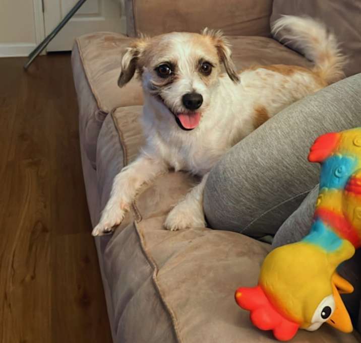 Photo of Charley
