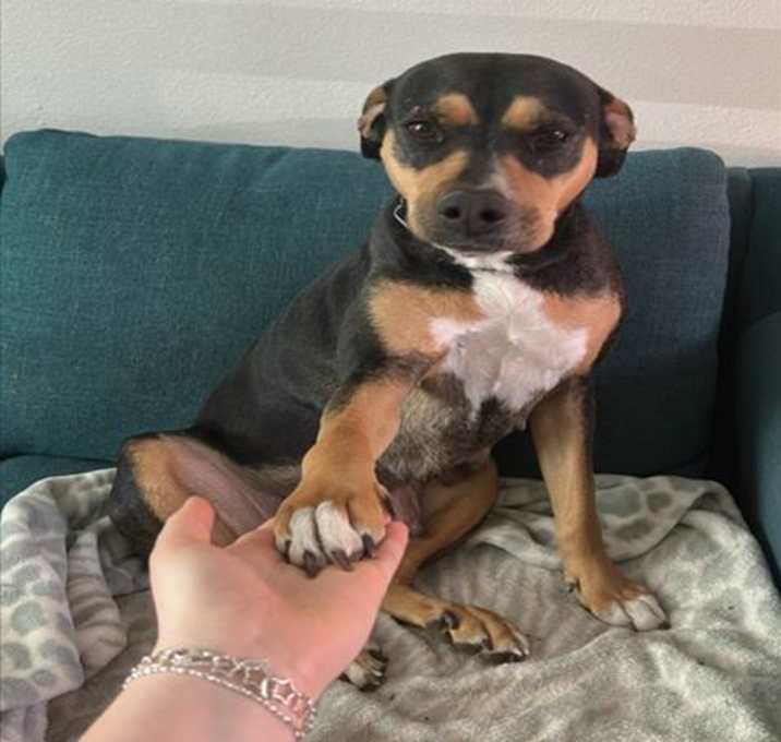 Photo of *JUNO