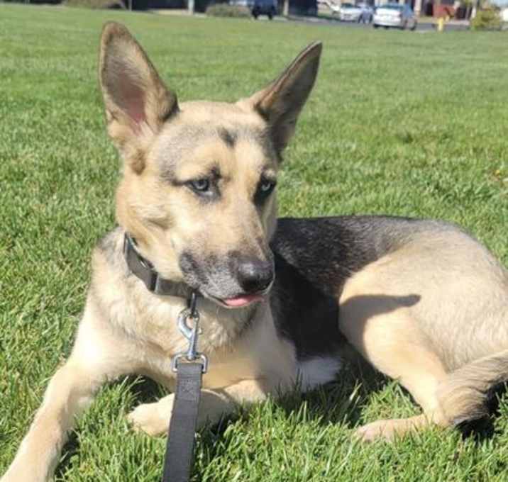 Photo of RILEY