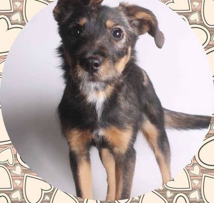 Photo of EMBER