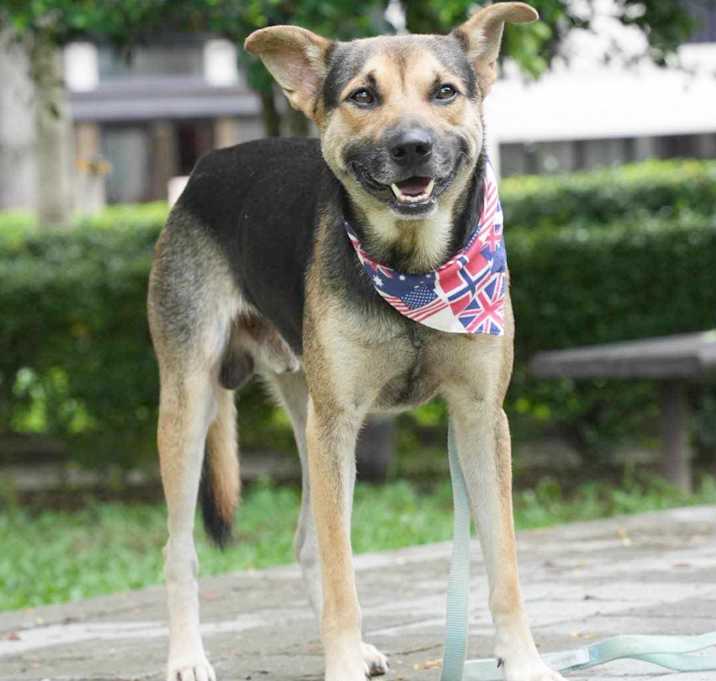 Photo of Amos