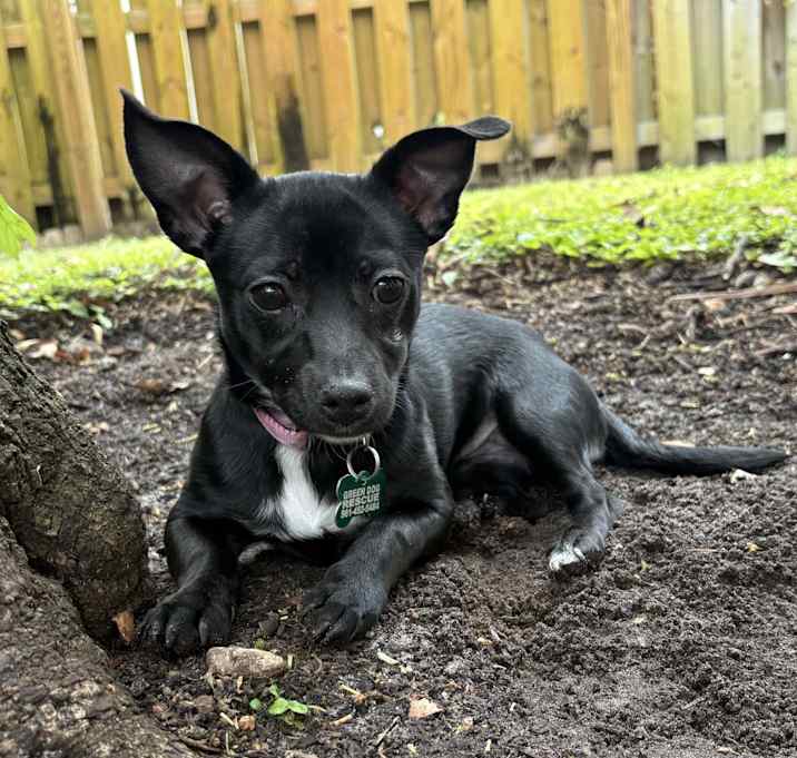 Photo of NOVA