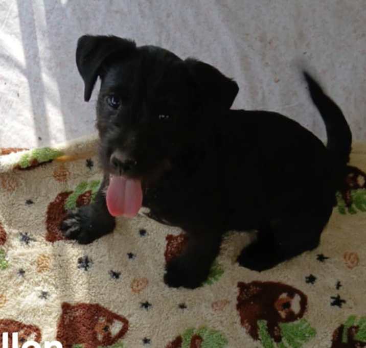 Photo of Fallon