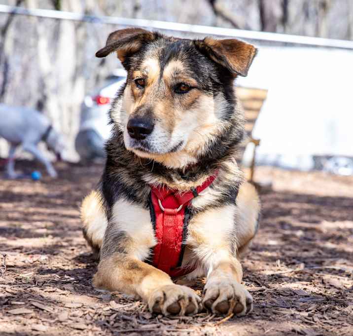 Photo of Kiara