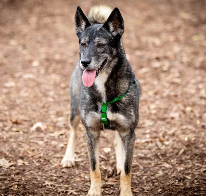 Photo of Kita