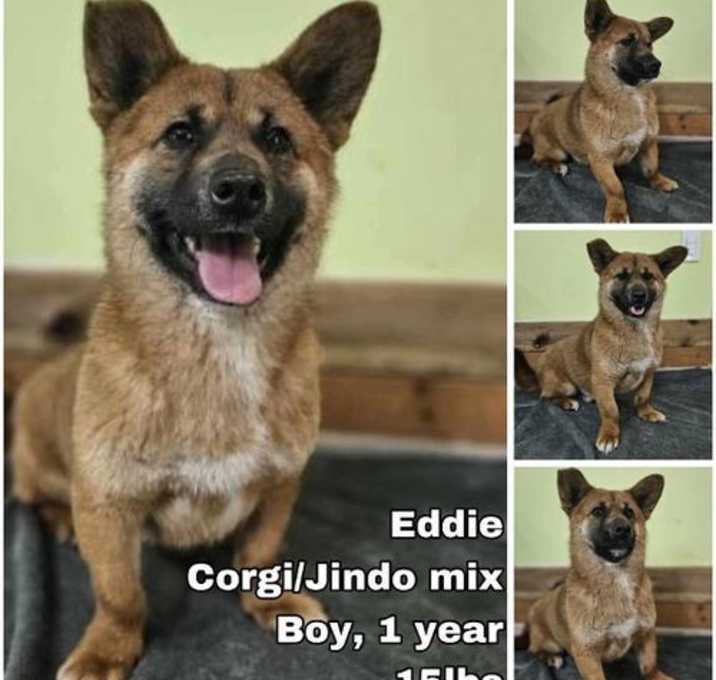 Photo of Eddie from Korea