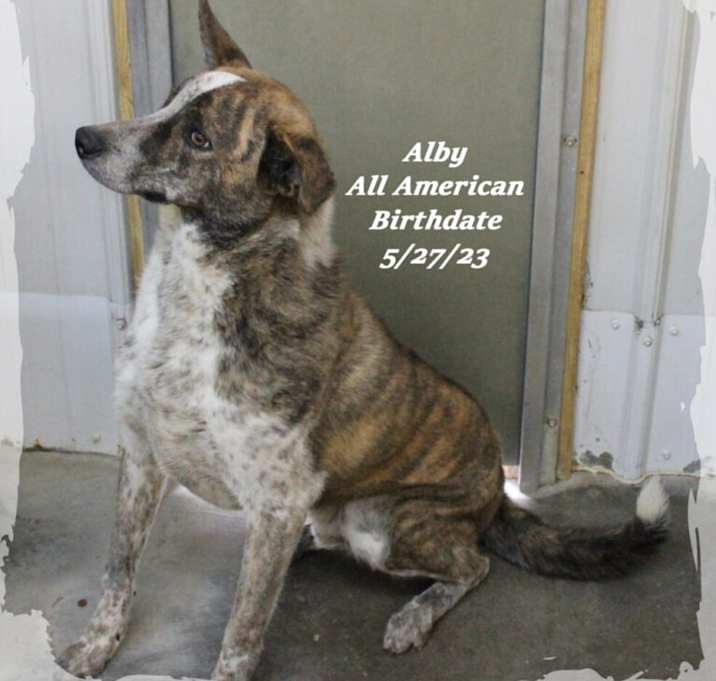 Photo of Alby