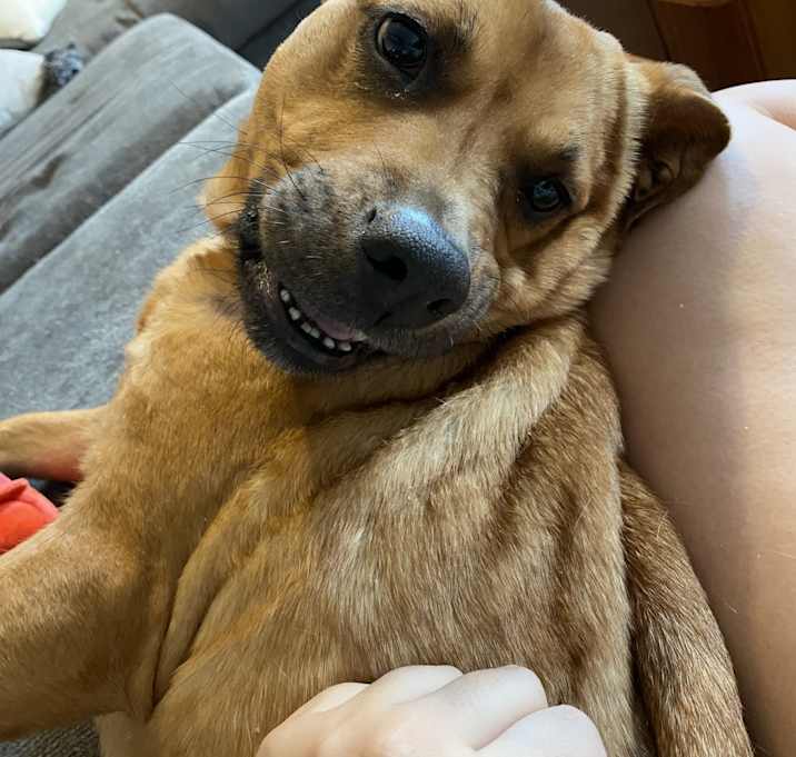 Photo of Willow