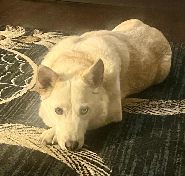 Photo of Mila
