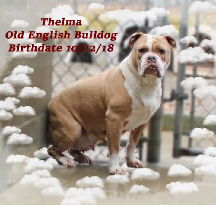 Photo of Thelma