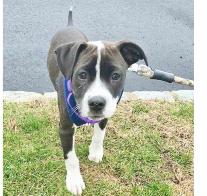 Photo of Ripple (Zion Litter)
