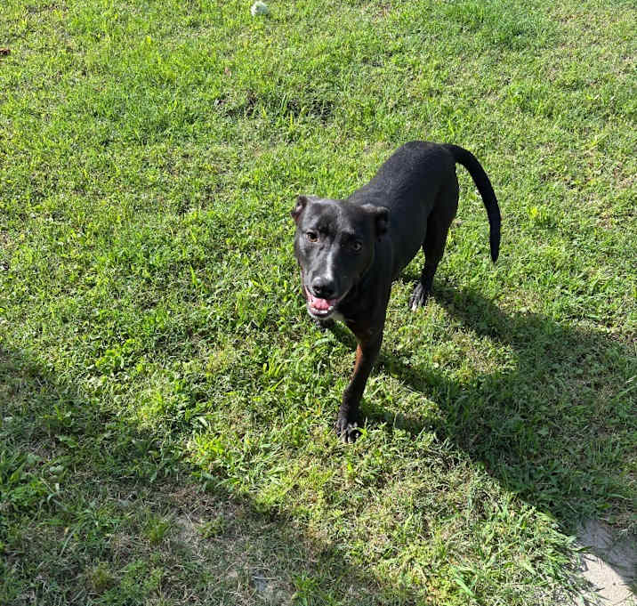 Photo of Cooper