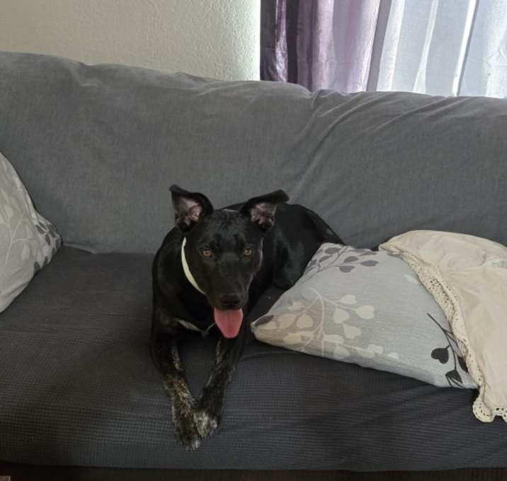 Photo of Zelda