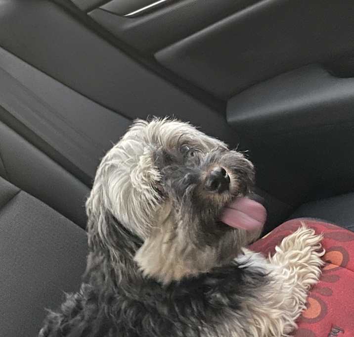 Photo of Cash