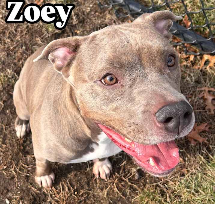 Photo of Zoey