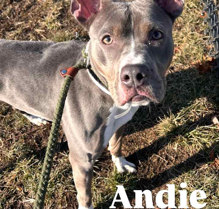Photo of Andie