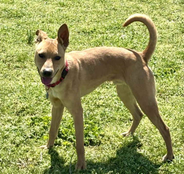 Photo of Roscoe
