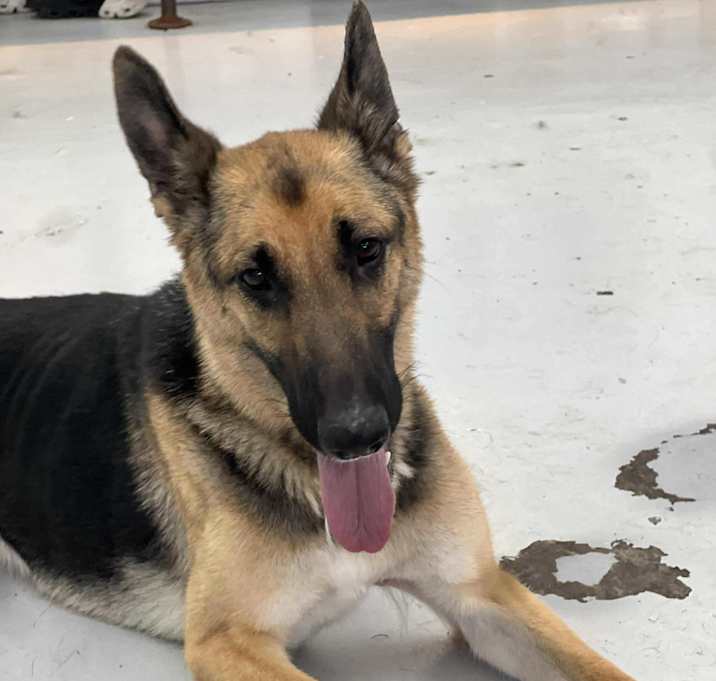 Photo of Diamond