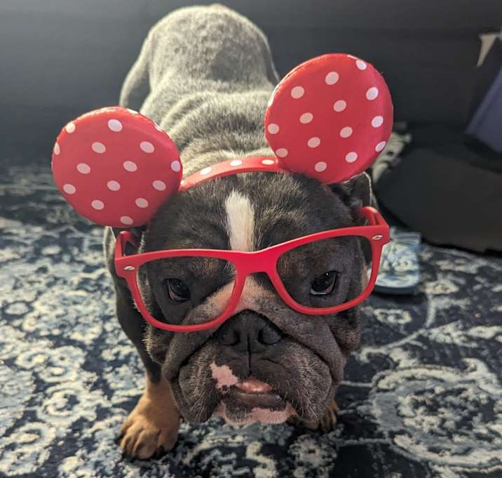Photo of Freya
