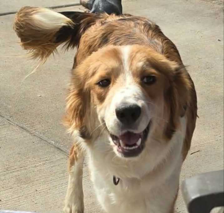 Photo of Happy