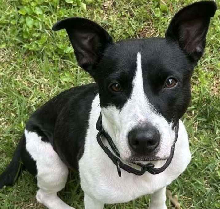Photo of Belle