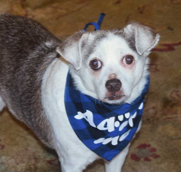 Photo of SKIPPY