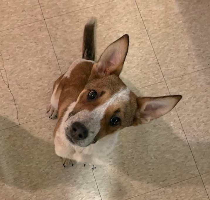 Photo of Aspen
