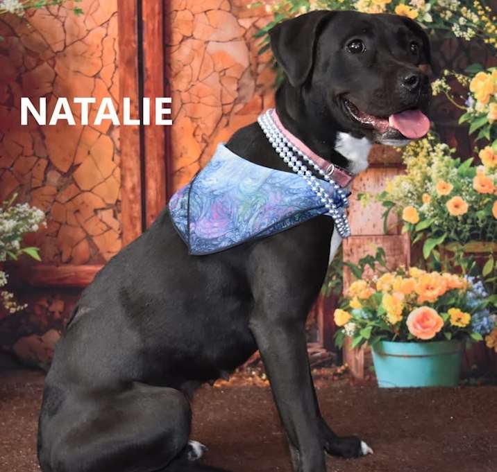 Photo of Natalie