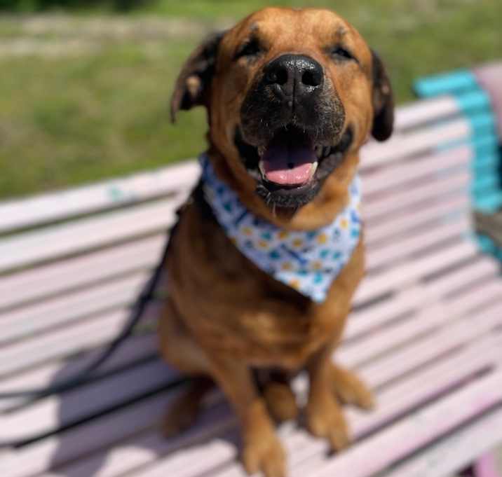 Photo of MATEO