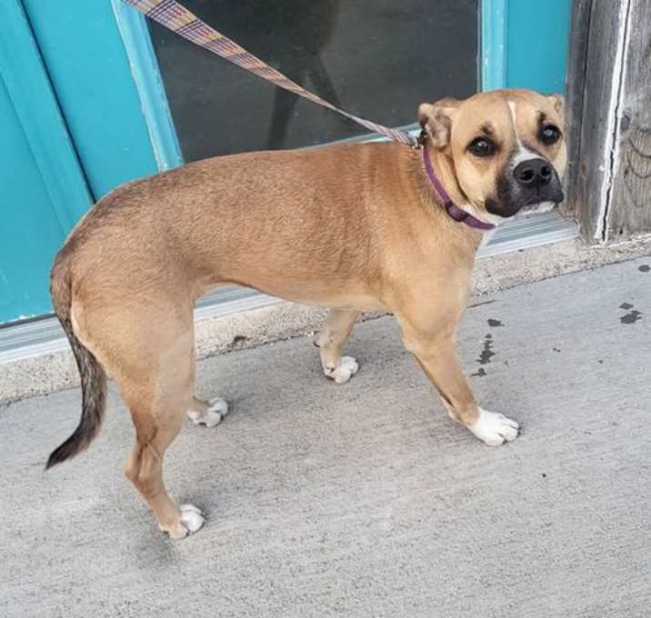Photo of Rowena