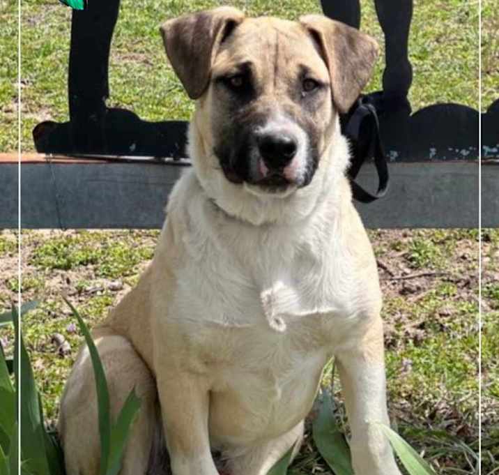 Photo of Jack