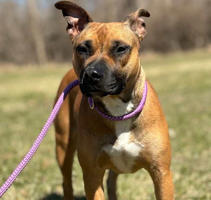 Photo of Ruby