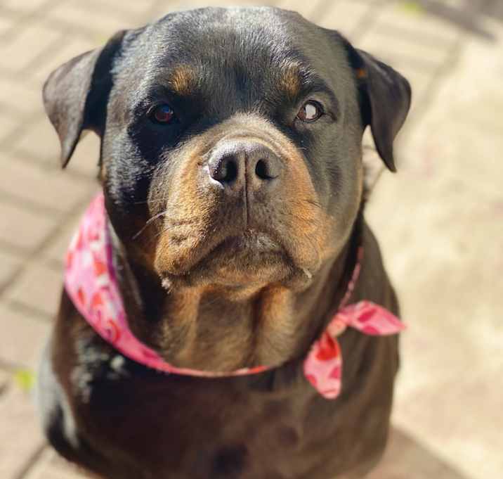 Photo of Macy