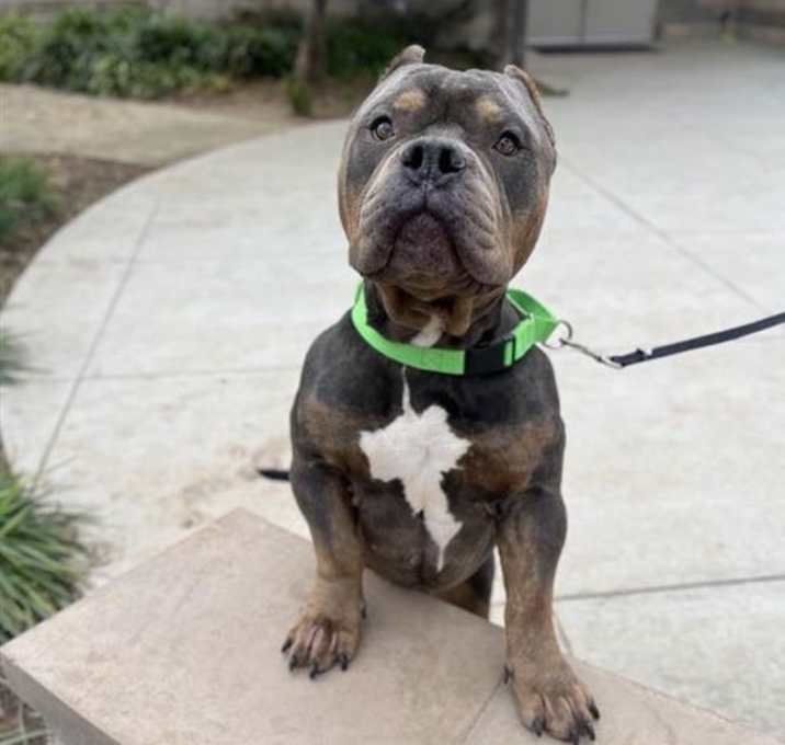Photo of Big Poppa