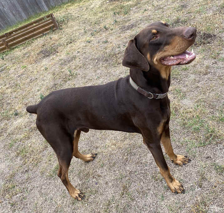 Photo of Nyx