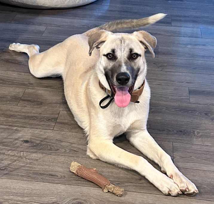 Photo of Oso
