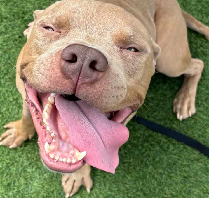 Photo of Scottie