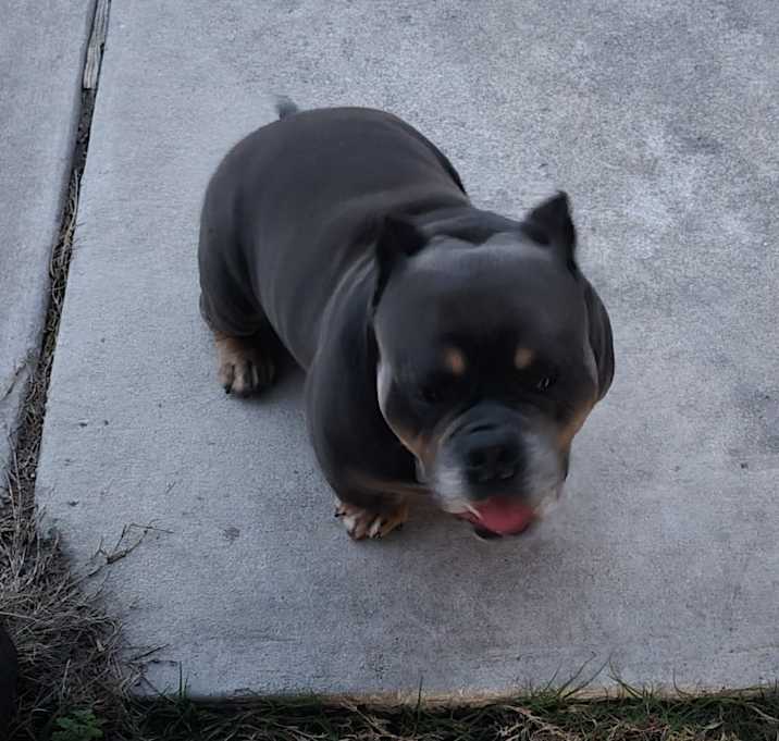 Photo of BLU