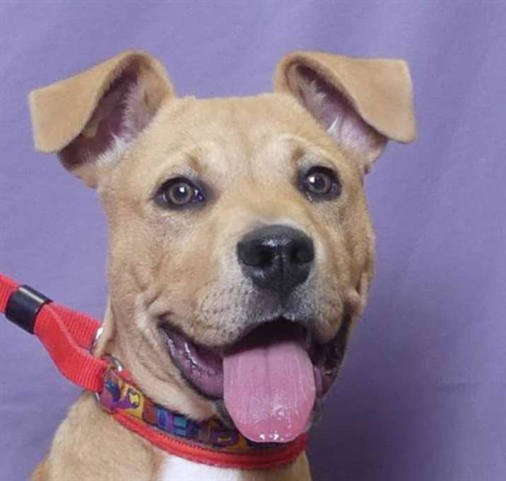 Photo of PARKER