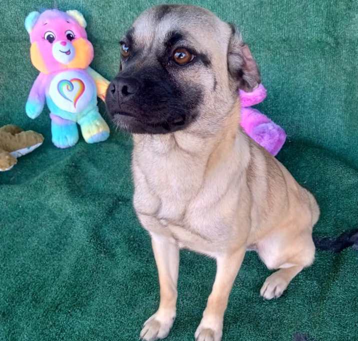 Photo of Lola