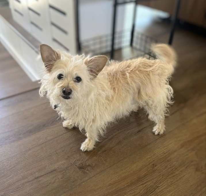Photo of Cash