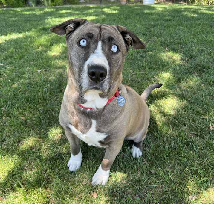 Photo of Kiki Cupcake