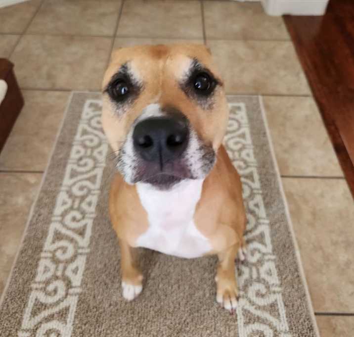 Lady Photo #3