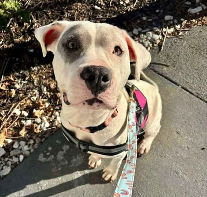 Photo of Sunny Sunshine