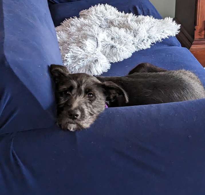Photo of Winnie