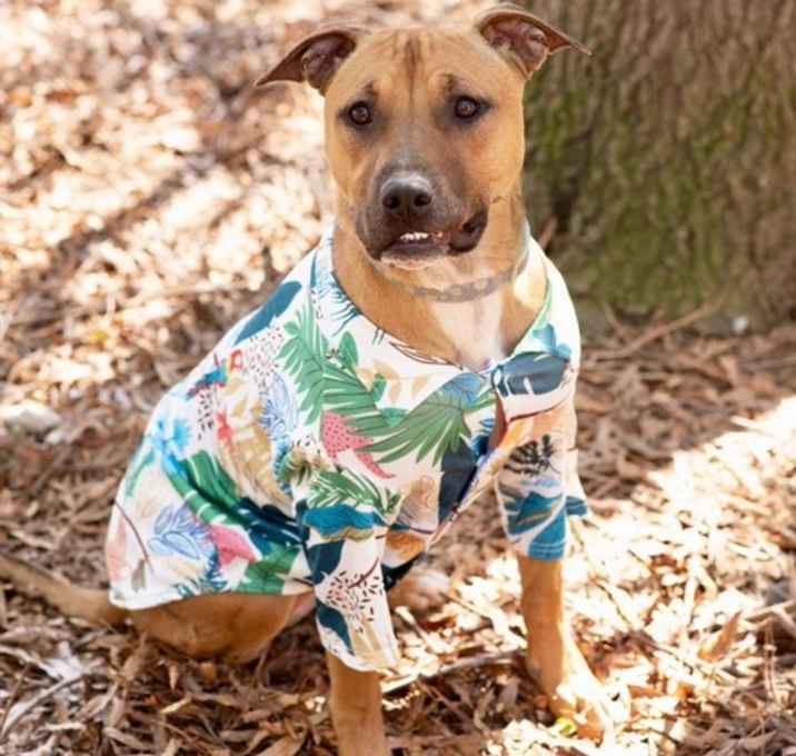 Photo of Sammy